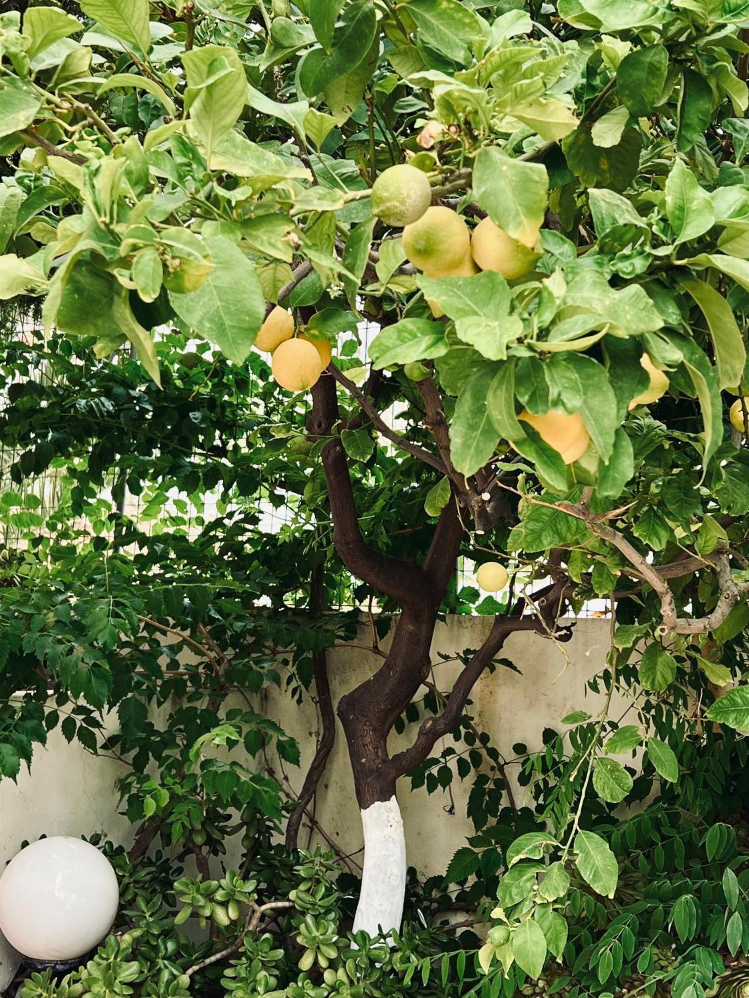 Bali  Bella Vista 아파트 외부 사진